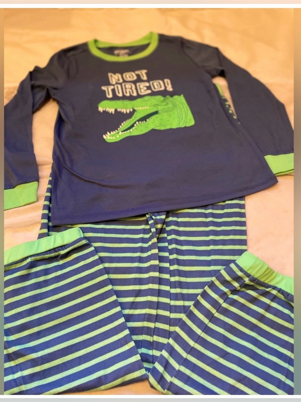 OshKosh B’gosh Boys Pajama Set 10/12 Blue Green Crocodile 2-Piece PJs